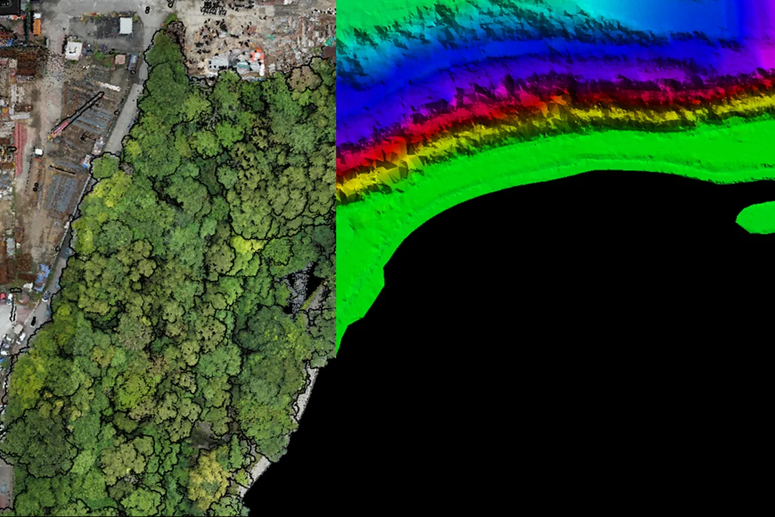Aerial survey data shown as a point cloud and elevation model.