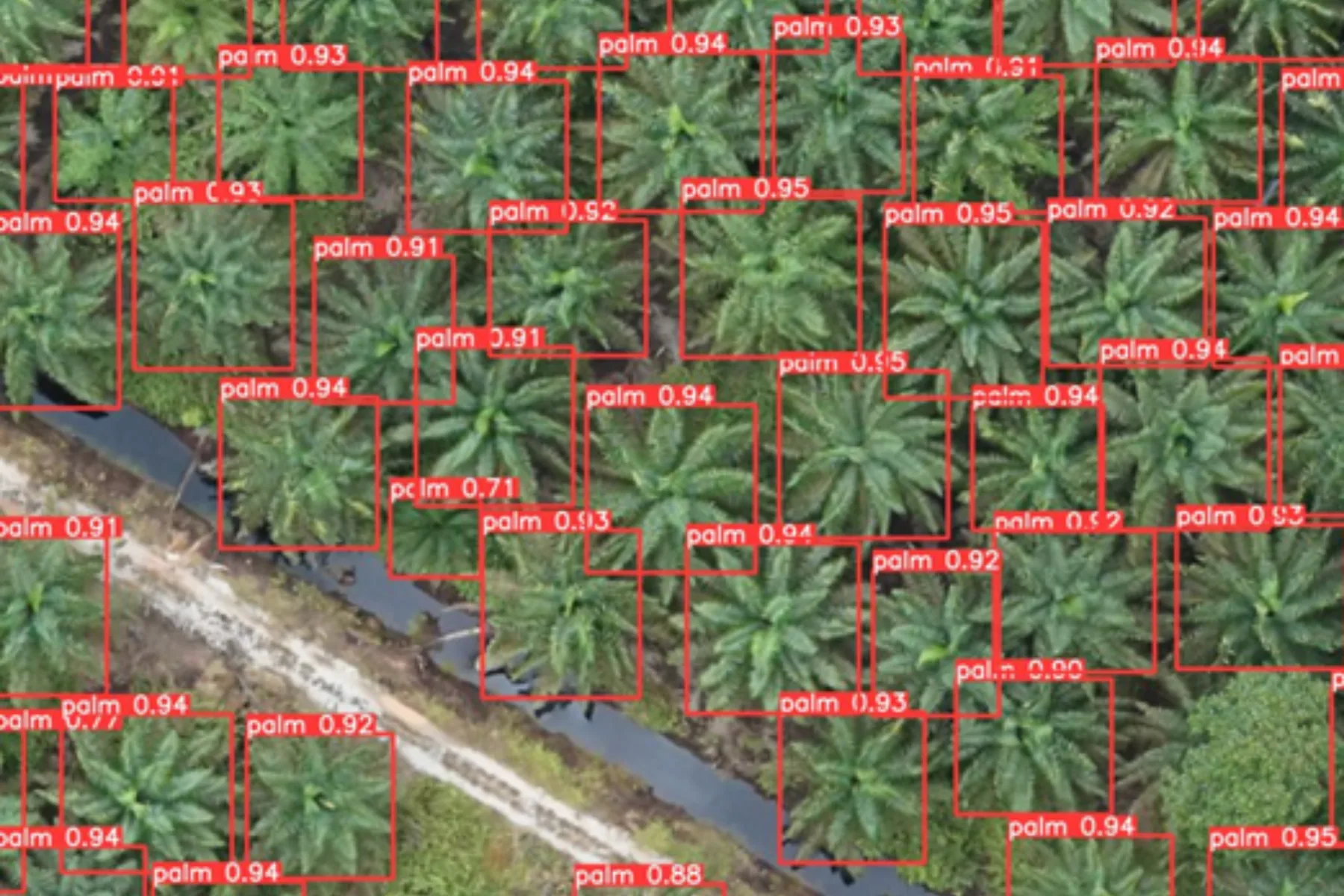 Aerial view of an oil palm block in Malaysia with automated tree detection run over it, each palm marked by a labelled box and a confidence score, and a drainage channel crossing the block