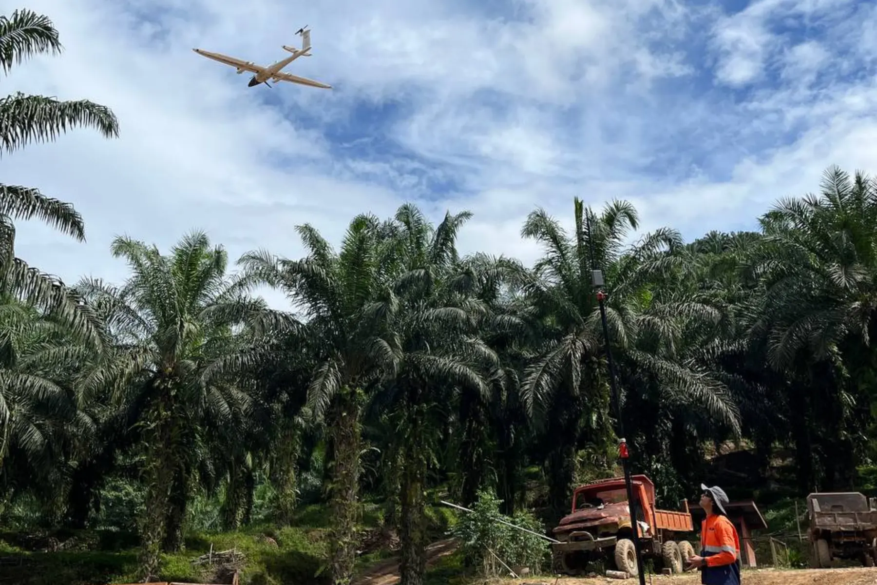 AECA fixed-wing aircraft flying a mapping run above a mature oil palm block in Malaysia